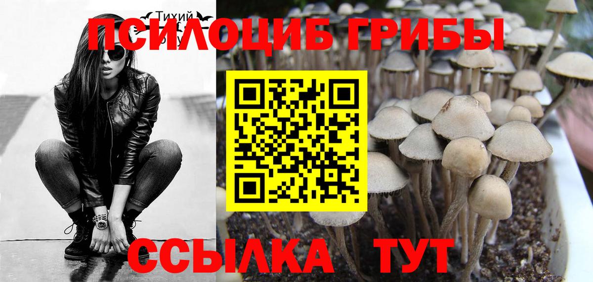 Галлюциногенные грибы мицелий Канаш