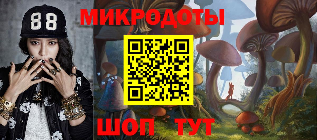 Галлюциногенные грибы MAGIC MUSHROOMS  Псилоцибиновые грибы Psilocybine cubensis  Канаш  Вход с VPN 